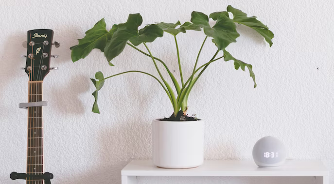 Voice control smart home